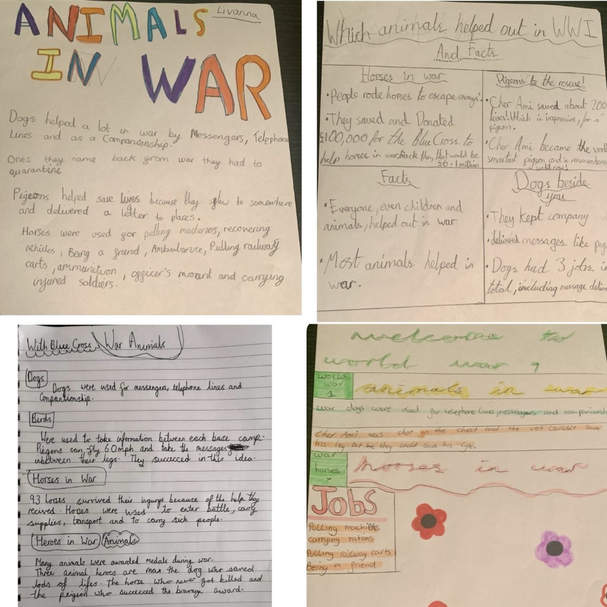 Animals Roles in WW1 Workshop - Tyndale Primary School